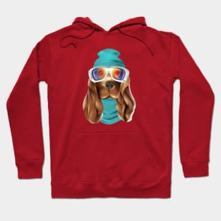 Hipster Labrador Hoodie